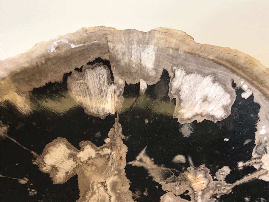 Antique Natural Petrified Wood Bowl 8W X 7D X 2H [Photo 6]