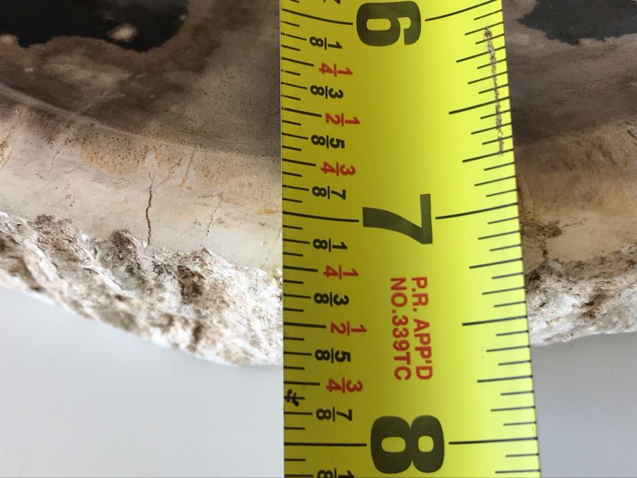 Antique Natural Petrified Wood Bowl 8W X 7D X 2H [Photo 12]