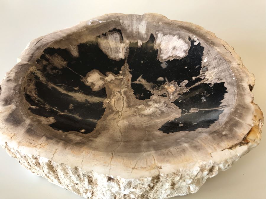 Antique Natural Petrified Wood Bowl 8W X 7D X 2H