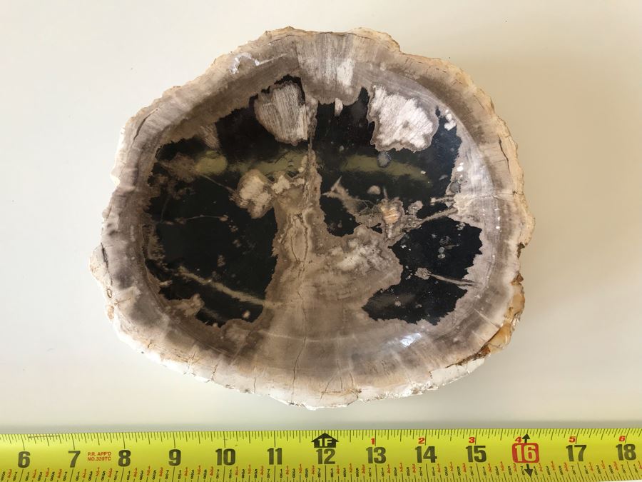 Antique Natural Petrified Wood Bowl 8W X 7D X 2H [Photo 4]