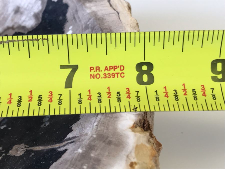 Antique Natural Petrified Wood Bowl 8W X 7D X 2H [Photo 11]