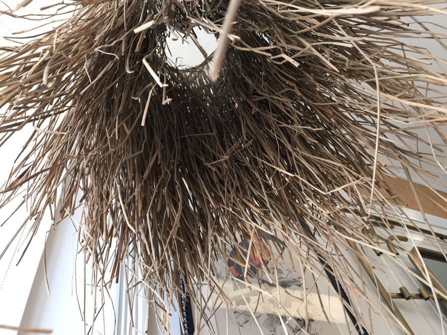 Mendong Grass Hanging Light Fixture 16W X 48H Retails $169 [Photo 5]