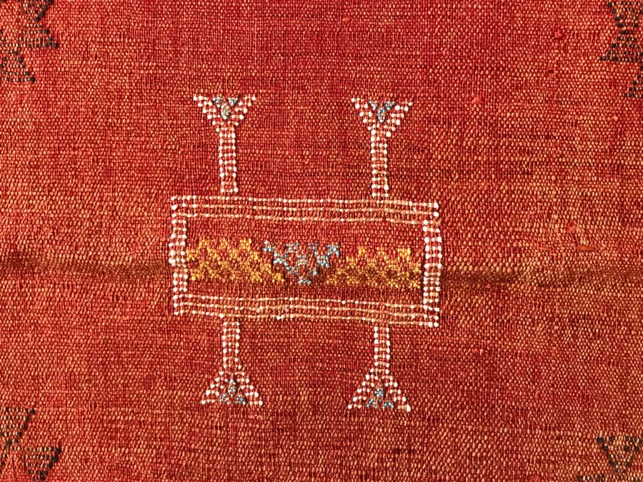 (4) Moroccan Sabra Cactus Silk Pillow Covers Accent Throws Apx 20 X 20 Retails $300 [Photo 6]