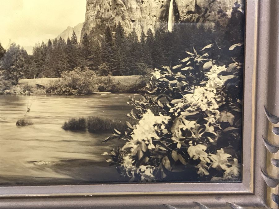 Arthur Clarence Pillsbury (1870-1946 American) ''The Gates of Yosemite'' Orotone Antique Photograph Printed On Glass And Backed With Gold 12.5 X 8.5 With Original Pillsbury's Pictures, Inc Label Estimate $1,000-$2,000 [Photo 12]