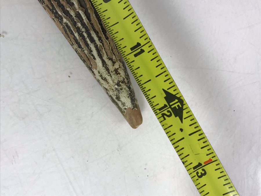 Vintage Faux Antler Wooden Hand Mirror Beveled Glass With Metal Holder For Hanging On Wall 12 X 7 [Photo 9]