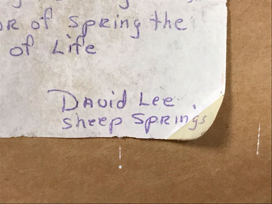 Large Vintage Native American Sand Painting Sun & Eagle Medicine Man By David Lee Sheep Springs - Write-up On Back 24 X 24 - Just Added [Photo 12]