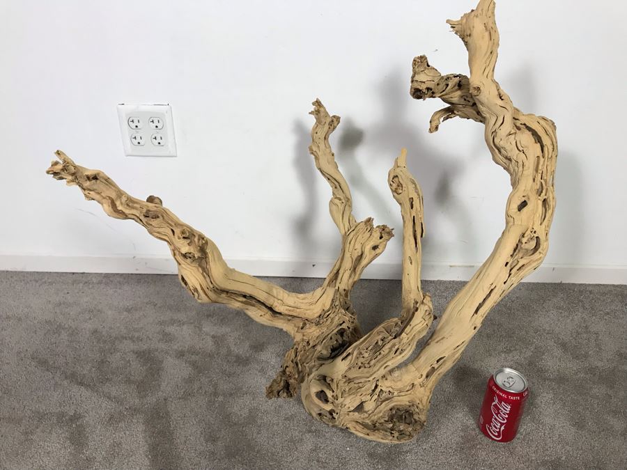 Large Organic Driftwood Sculpture 29W X 28H - Just Added [Photo 8]
