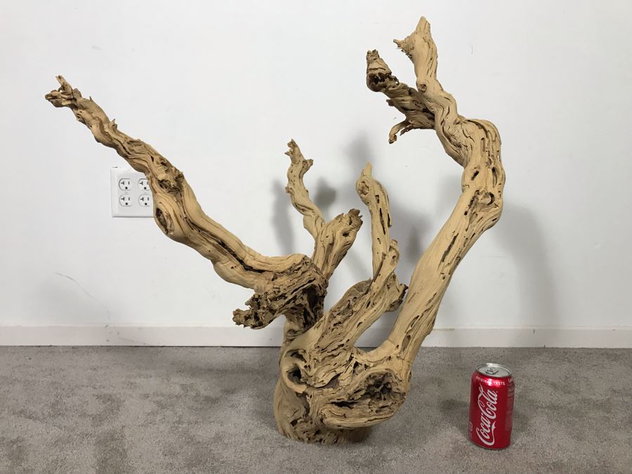 Large Organic Driftwood Sculpture 29W X 28H - Just Added