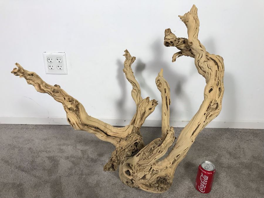 Large Organic Driftwood Sculpture 29W X 28H - Just Added [Photo 2]