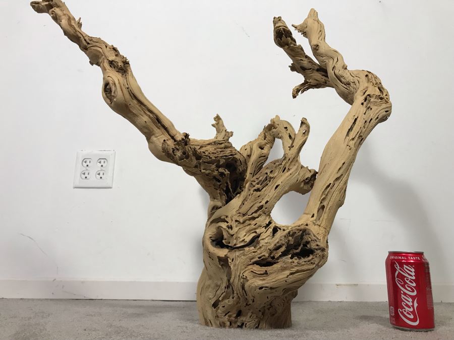 Large Organic Driftwood Sculpture 29W X 28H - Just Added [Photo 7]