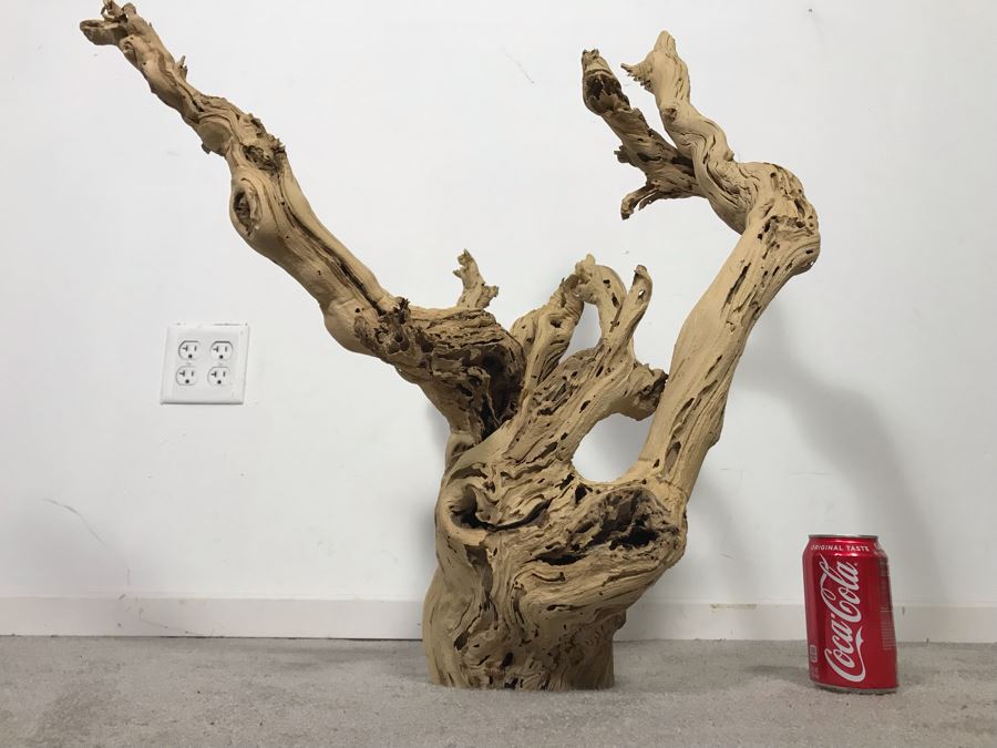 Large Organic Driftwood Sculpture 29W X 28H - Just Added [Photo 5]