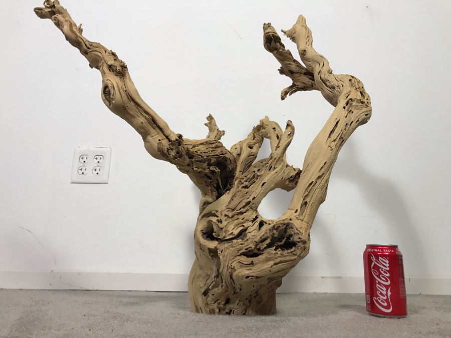 Large Organic Driftwood Sculpture 29W X 28H - Just Added [Photo 6]