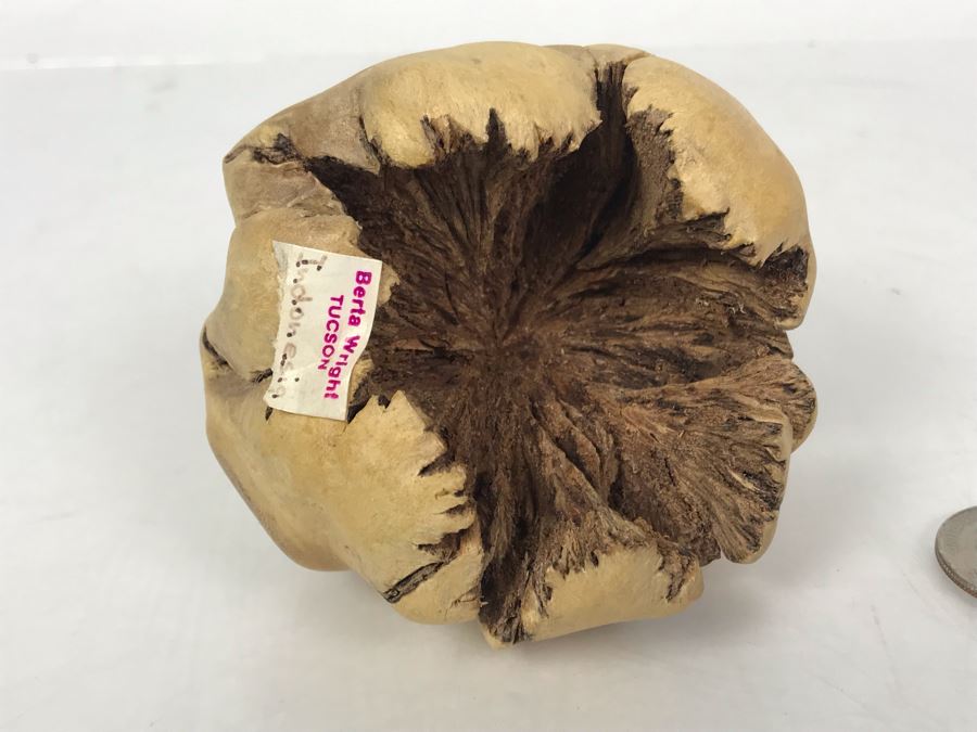 Carved Wooden Indonesian Sea Turtle 4.5W X 3H - Just Added [Photo 9]