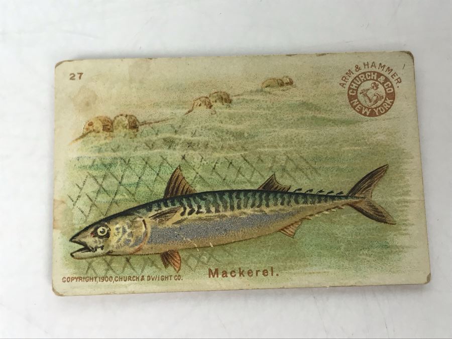 Collection Of (15) Early 1900s Arm & Hammer Soda Fish Series Cards By Church & Co New York - Just Added [Photo 5]