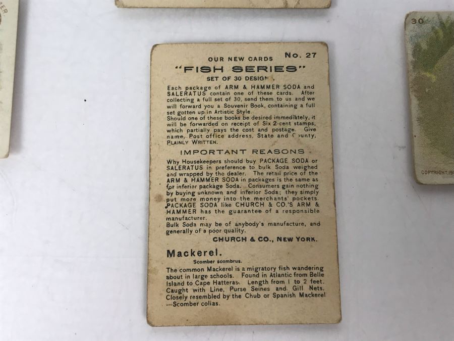 Collection Of (15) Early 1900s Arm & Hammer Soda Fish Series Cards By Church & Co New York - Just Added [Photo 21]