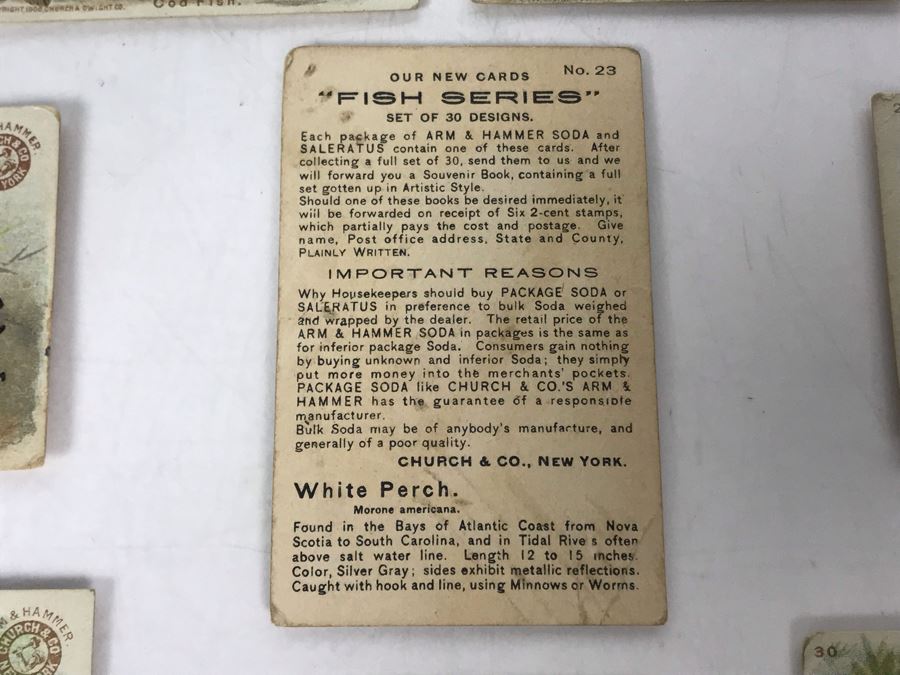 Collection Of (15) Early 1900s Arm & Hammer Soda Fish Series Cards By Church & Co New York - Just Added [Photo 20]