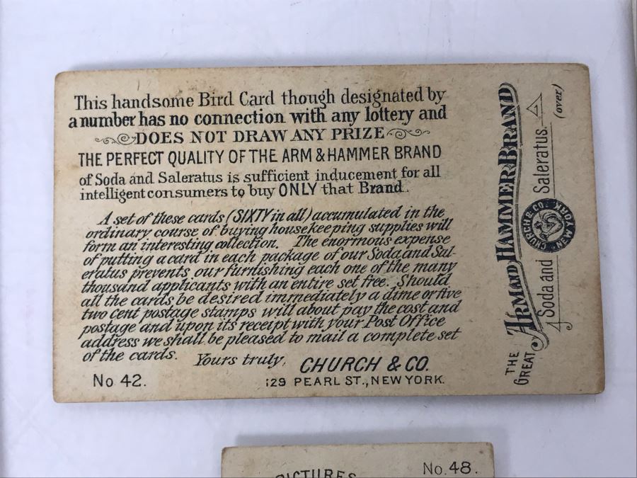 Collection Of (9) Early 1900s Arm & Hammer Soda Birds Cards By Church & Co New York - Just Added [Photo 10]