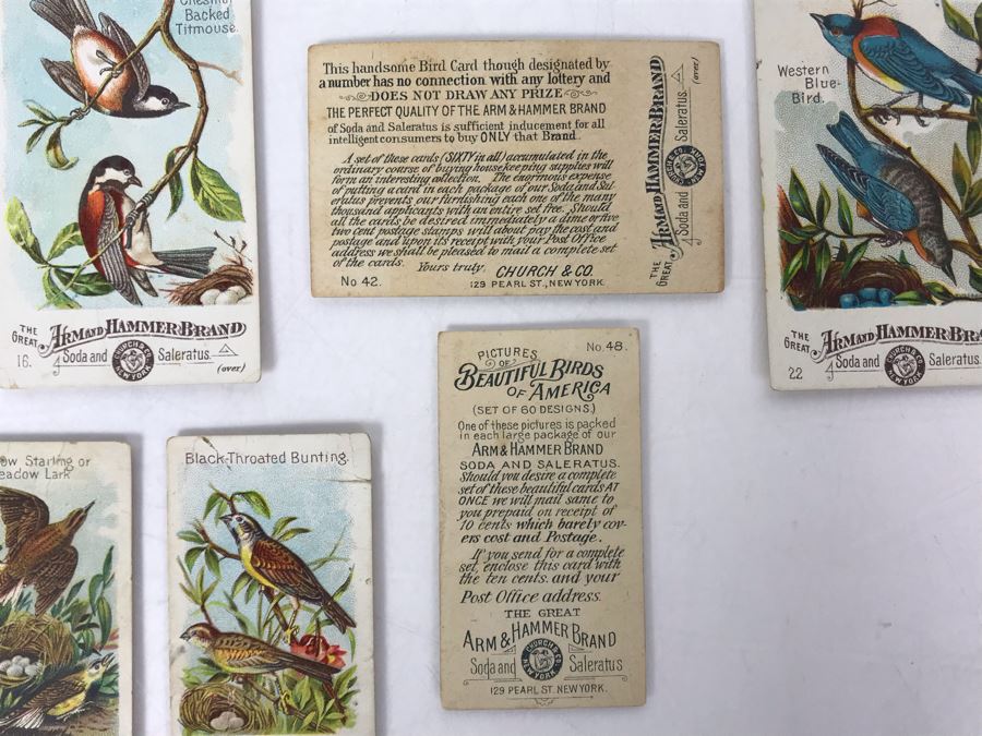 Collection Of (9) Early 1900s Arm & Hammer Soda Birds Cards By Church & Co New York - Just Added [Photo 9]