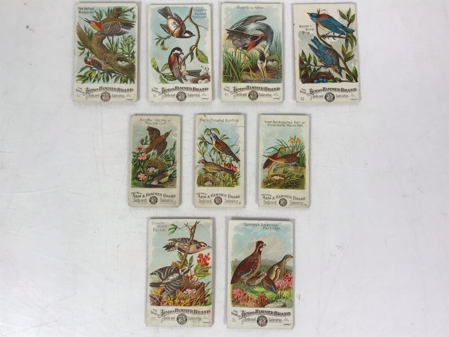 Collection Of (9) Early 1900s Arm & Hammer Soda Birds Cards By Church & Co New York - Just Added [Photo 1]