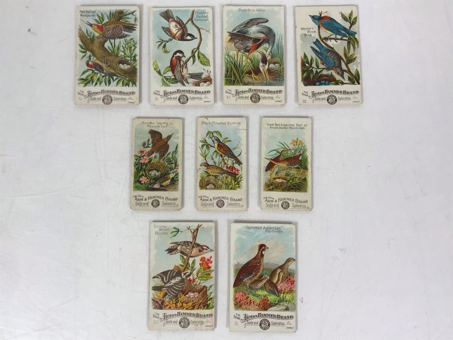 Collection Of (9) Early 1900s Arm & Hammer Soda Birds Cards By Church & Co New York - Just Added [Photo 2]