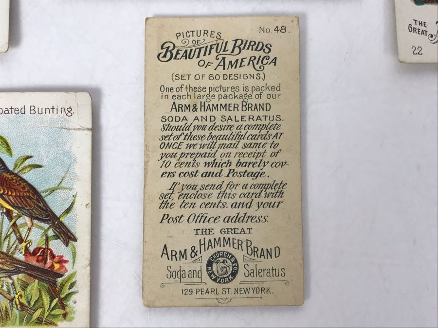 Collection Of (9) Early 1900s Arm & Hammer Soda Birds Cards By Church & Co New York - Just Added [Photo 11]