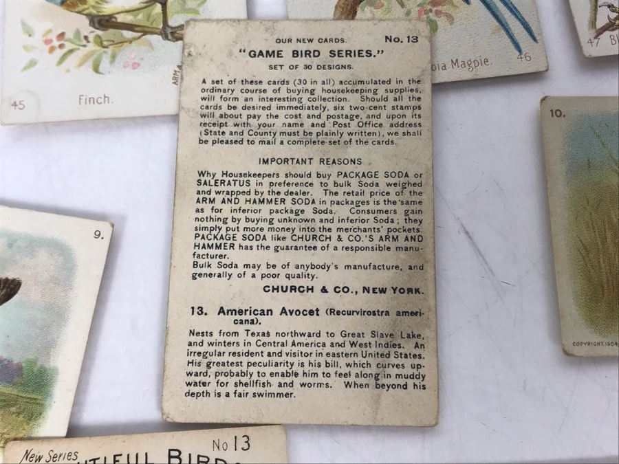 Collection Of (56) Early 1900s Arm & Hammer Soda Birds Cards By Church & Co New York - Just Added [Photo 28]