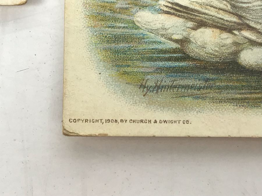 Collection Of (56) Early 1900s Arm & Hammer Soda Birds Cards By Church & Co New York - Just Added [Photo 10]