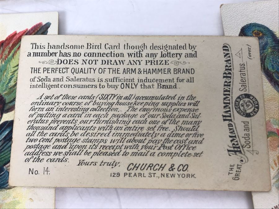 Collection Of (56) Early 1900s Arm & Hammer Soda Birds Cards By Church & Co New York - Just Added [Photo 29]