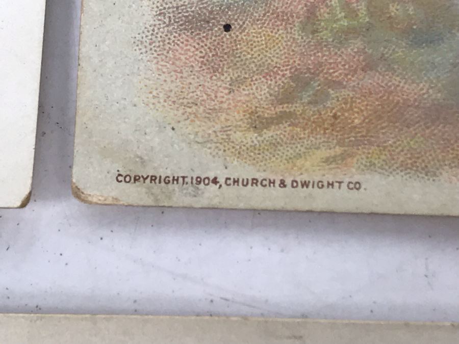 Collection Of (56) Early 1900s Arm & Hammer Soda Birds Cards By Church & Co New York - Just Added [Photo 30]