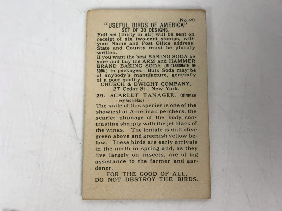 Collection Of (56) Early 1900s Arm & Hammer Soda Birds Cards By Church & Co New York - Just Added [Photo 32]