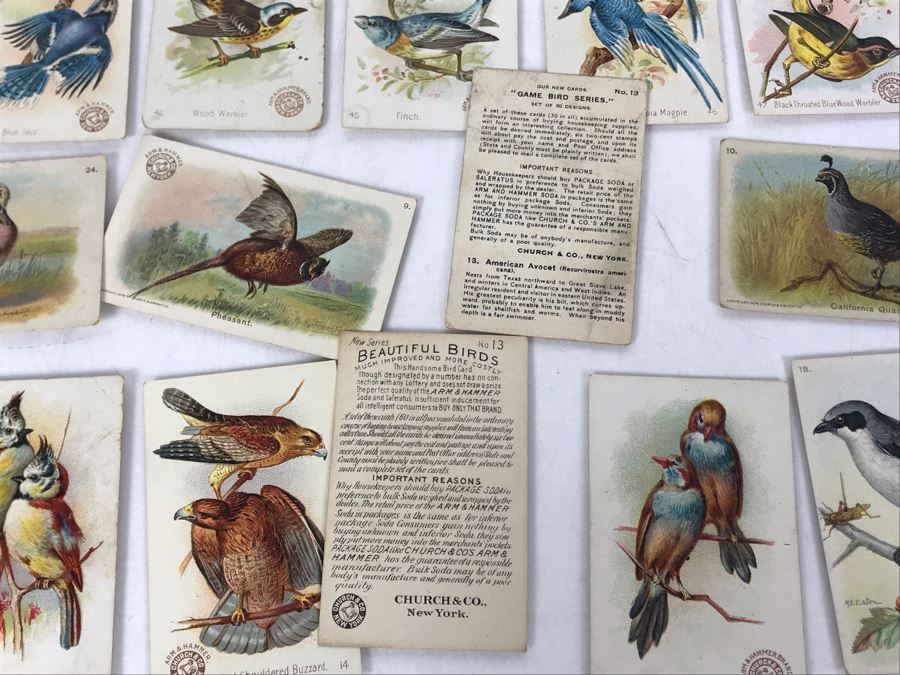 Collection Of (56) Early 1900s Arm & Hammer Soda Birds Cards By Church & Co New York - Just Added [Photo 26]