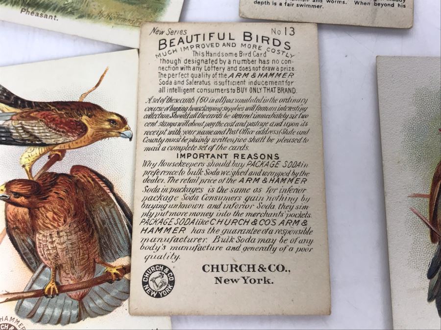 Collection Of (56) Early 1900s Arm & Hammer Soda Birds Cards By Church & Co New York - Just Added [Photo 27]
