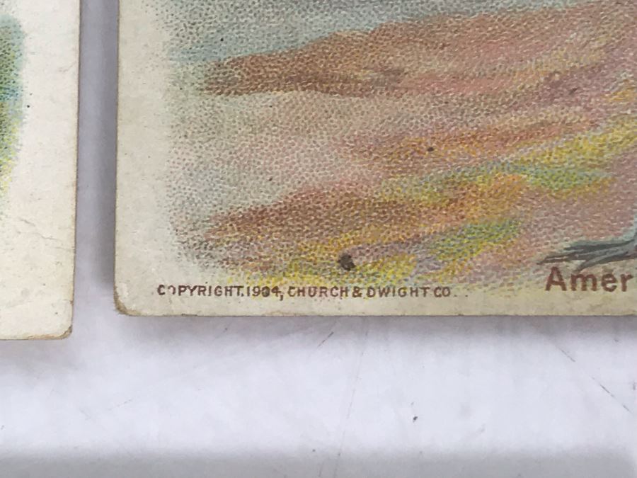 Collection Of (56) Early 1900s Arm & Hammer Soda Birds Cards By Church & Co New York - Just Added [Photo 25]