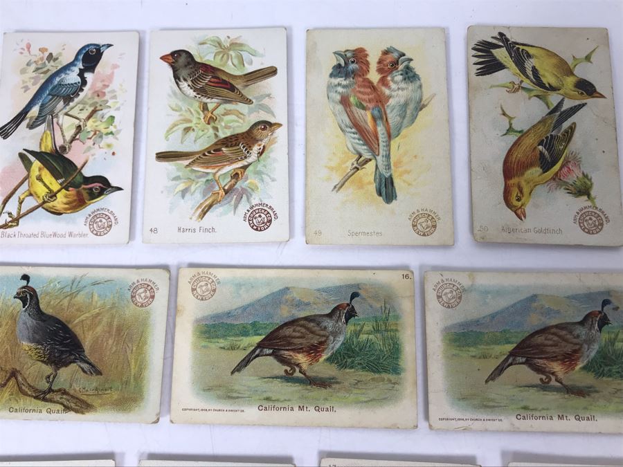 Collection Of (56) Early 1900s Arm & Hammer Soda Birds Cards By Church & Co New York - Just Added [Photo 20]