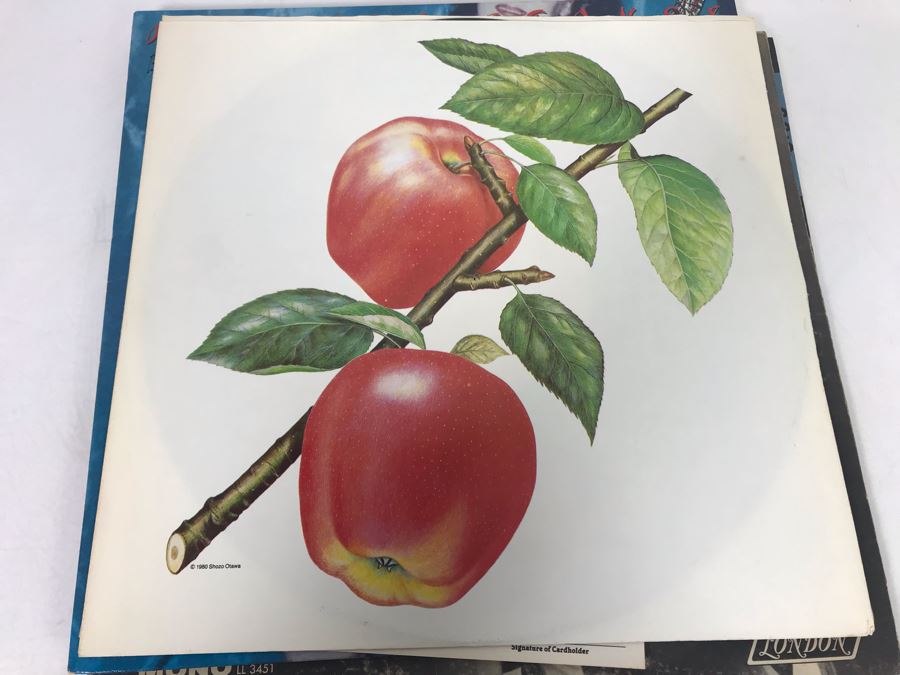 (3) Rolling Stones Vinyl Records: December's Children (And Everybody's), Some Girls And Undercover [Photo 17]