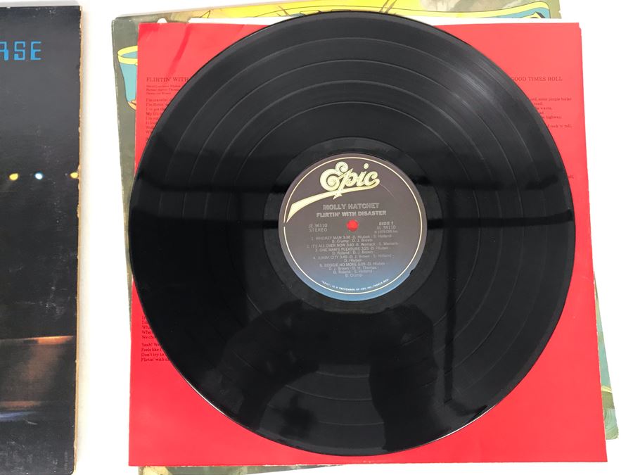 Vinyl Records: Molly Hatchet Firtin With Disaster, Neil Young & Crazy Horse Rust Never Sleeps And Live Rust, It's A Beautiful Day Limited Edition Record [Photo 5]