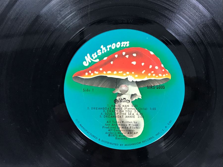 Vinyl Records: Jerry Garcia Garcia, Heart Dreamboat Annie, The Young Rascals Groovin' And Buffalo Springfield [Photo 13]