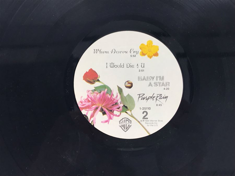 Vinyl Records: Prince And The Revolution Purple Rain And Jackson 5 Victory [Photo 8]