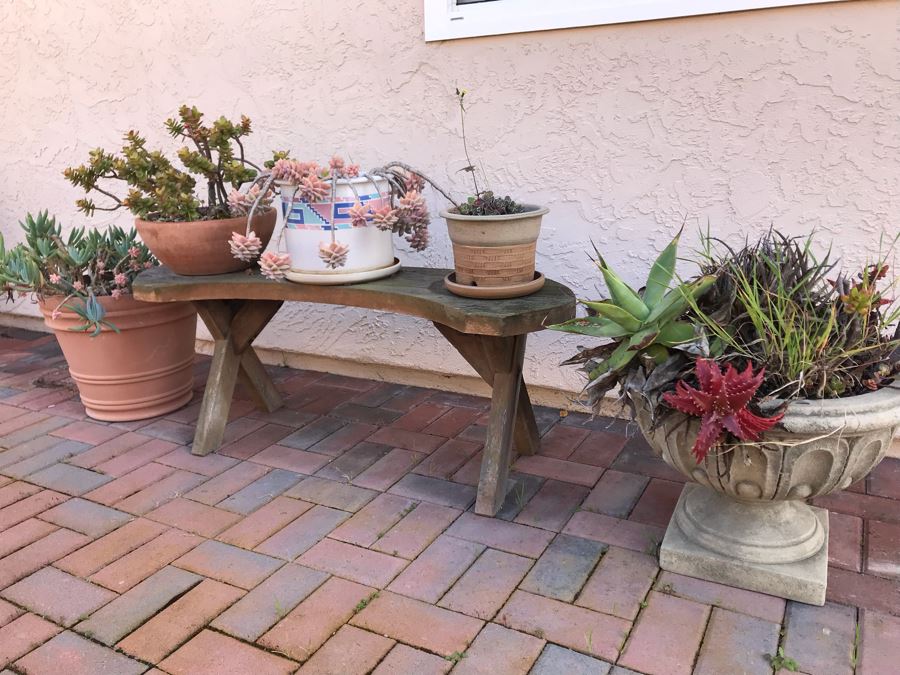 Collection Of Potted Succulent Plants Including Cement Urn Planter And Small Curved Wooden Bench