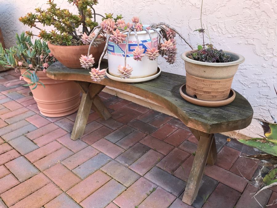 Collection Of Potted Succulent Plants Including Cement Urn Planter And Small Curved Wooden Bench [Photo 5]