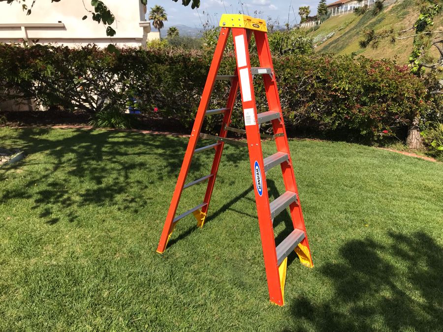Werner Fiberglass 6' Ladder [Photo 2]