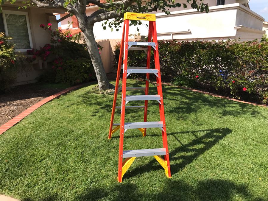 Werner Fiberglass 6' Ladder [Photo 3]