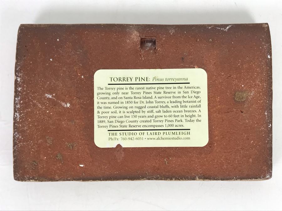 Laird Plumleigh Studio Torrey Pine Landscape Wall Artwork 7.5W X 4.5H [Photo 3]