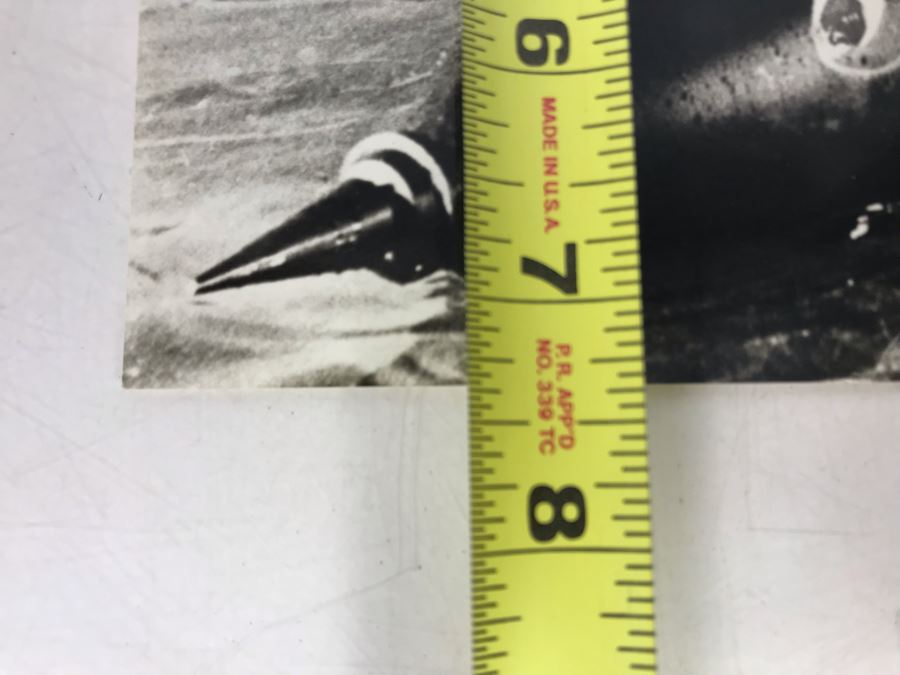 Vintage B&W Photograph Of Professor Fate Jack Lemmon The Great Race Car 9.5W X 7.5H [Photo 7]