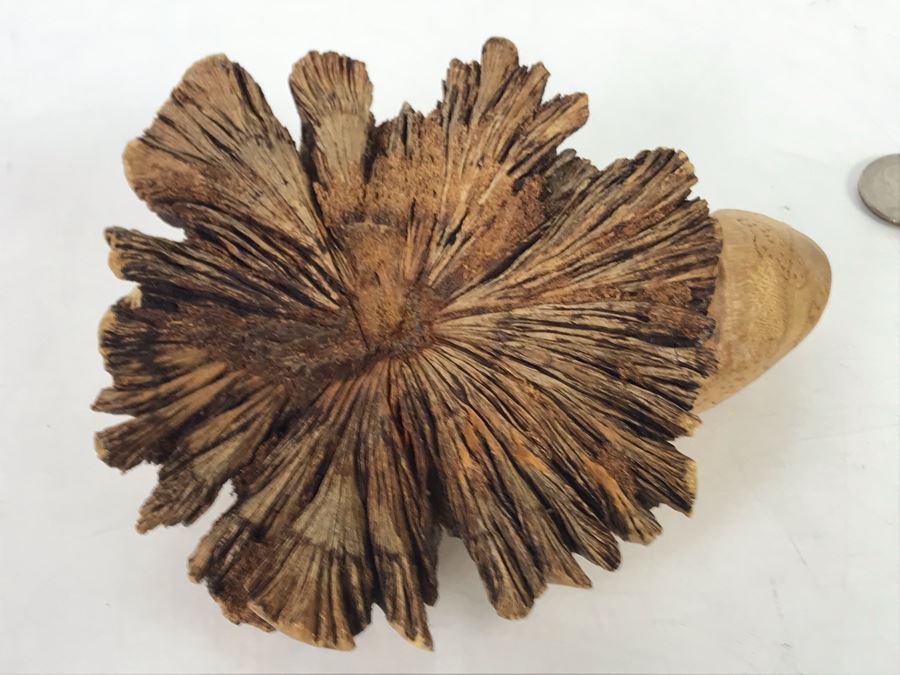 Hand Carved Wooden Frog Sculpture 5.5W X 2H [Photo 9]