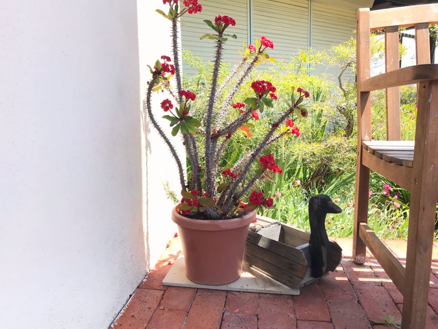 Outdoor Potted Plant 36H And Wooden Duck Planter [Photo 2]