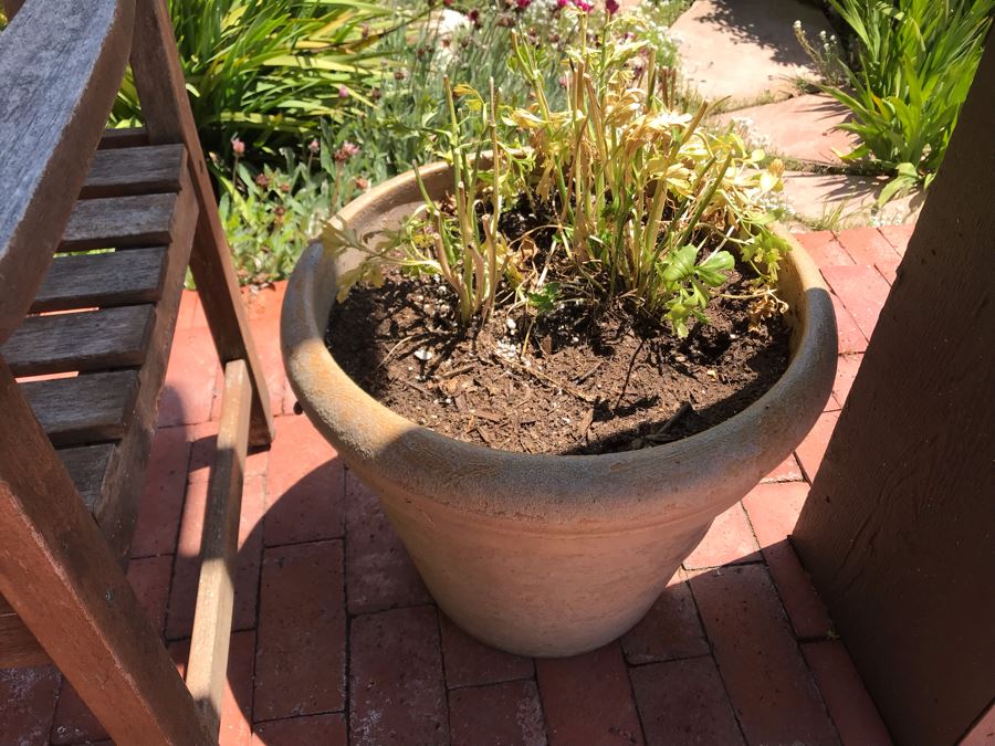 Outdoor Potted Plant 18.5W X 17H [Photo 2]