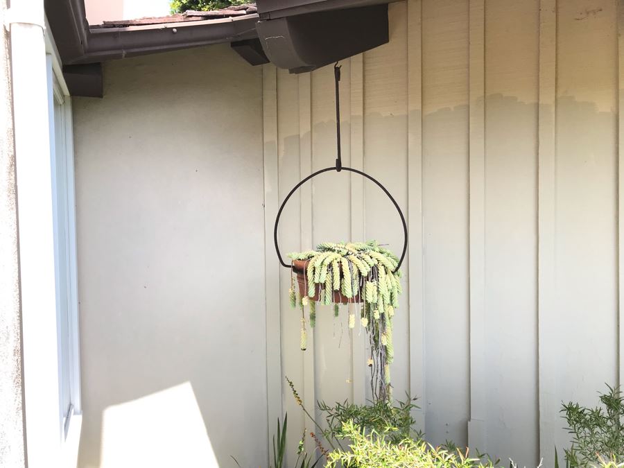 Outdoor Potted Succulent Plant With Rustic Metal Pot Holder Hanger 24W [Photo 2]
