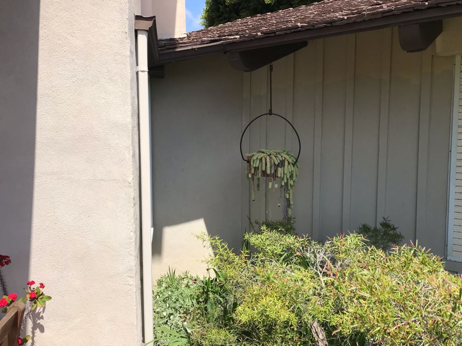 Outdoor Potted Succulent Plant With Rustic Metal Pot Holder Hanger 24W [Photo 3]