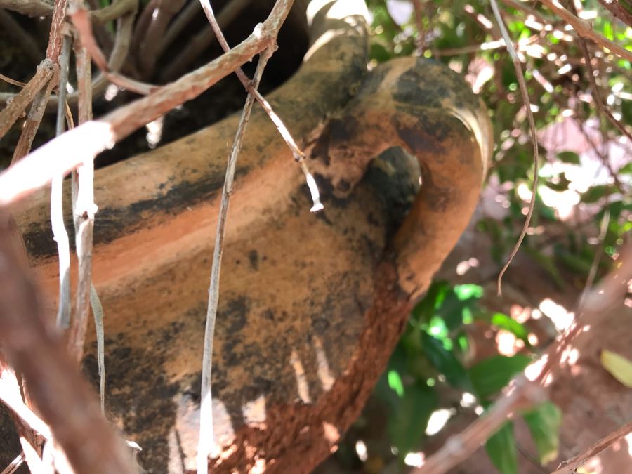 Large Outdoor Potted Plant Pot Measures 15.5H X 16W (See Photos For Better Look At Pot) [Photo 6]